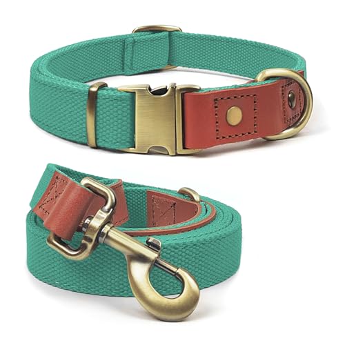 QRDA Hundehalsband und Leine, verstellbar, Cyan, XL von QRD QIANRUIDA