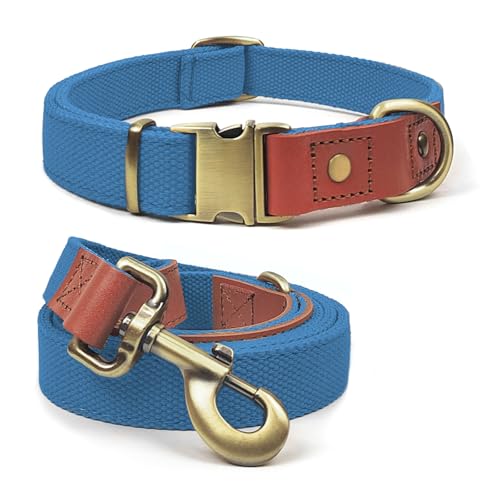 Qianruida Hundehalsband und Leine, Nylon, langlebig, verstellbar mit solidem Verschluss, bequem und langlebig, ideal für Spaziergänge, Training und Sicherheit im Freien, Blau, XL von QRD QIANRUIDA