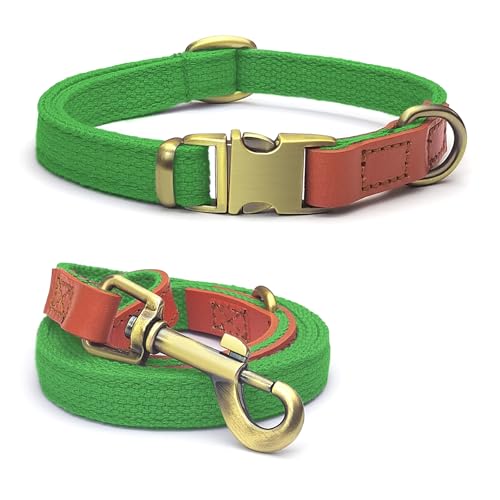 Qianruida Taktisches Hundehalsband und Leine, Set, verstellbar, Neongrün, Größe S/M/L von QRD QIANRUIDA