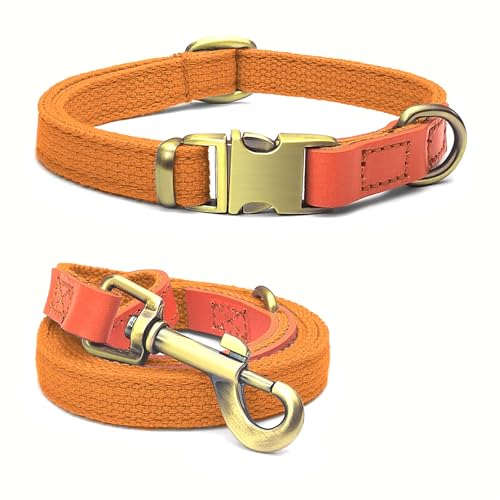 Qianruida Hundehalsband und Leine, Nylon, langlebig, verstellbar mit solidem Verschluss, bequem und langlebig, ideal für Spaziergänge, Training und Sicherheit im Freien, Orange, M von QRD QIANRUIDA