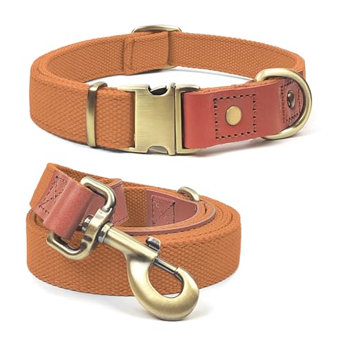 QRDA Hundehalsband und Leine, verstellbar, Orange, Größe XL von QRD QIANRUIDA