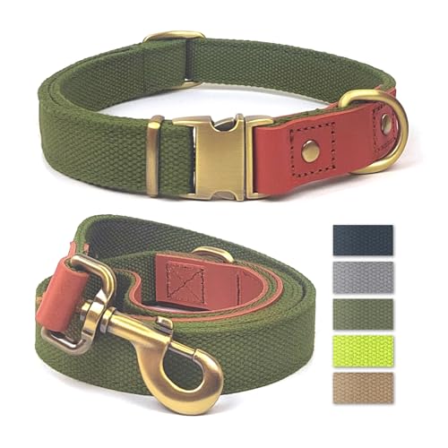 Qianruida Hundehalsband und Leine, Nylon, strapazierfähig, verstellbar mit sicherem Verschluss, bequem und langlebig, ideal für Spaziergänge, Training und Outdoor, Grün, L von QRD QIANRUIDA