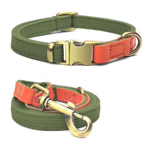 Qianruida Hundehalsband und Leine, Nylon, strapazierfähig, verstellbar mit sicherem Verschluss, bequem und langlebig, ideal für Spaziergänge, Training und Outdoor, Grün, L von QRD QIANRUIDA