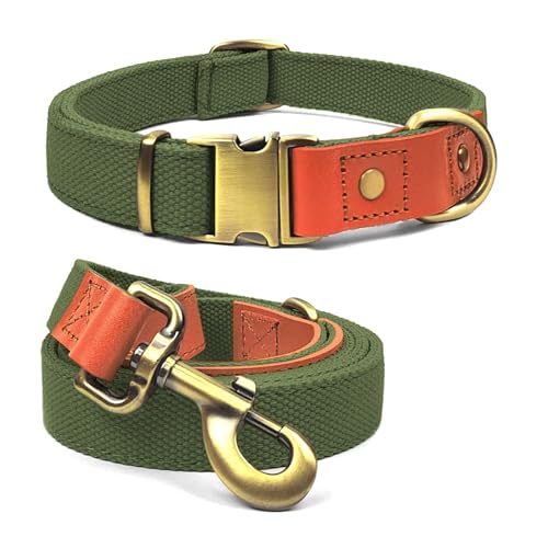 Qianruida Hundehalsband und Leine, Nylon, strapazierfähig, verstellbar mit sicherem Verschluss, bequem und langlebig, ideal für Spaziergänge, Training und Outdoor, Grün, Größe XL von QRD QIANRUIDA