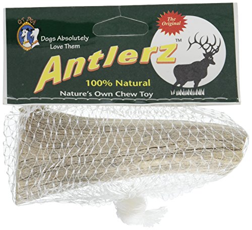 Antlerz Kauspielzeug für Hunde, Größe L, 4–6 Länge, 0,6–1 Breite von Antlerz von QT Dog