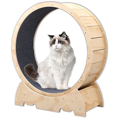 Katzen-Laufrad, Indoor-Katzenspielzeug, Laufrad, niedliches Naturholz-Katzenrad für alle Katzen, Gewichtsverlust (D93 cm), Natur) von QTQHOME