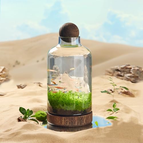 Mikrolandschaftsflasche zum Selbermachen, Glasflaschen, Glas-Terrarium-Behälter, Mikro-Landschaft, DIY-Flasche, Pflanzen, Mikro-Landschaftsvase, Landschaftsbau, Flasche (36 x 17 cm), B) von QTQHOME