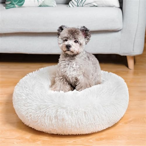 Katzenhöhle Katzenbett Waschbar Katzenschlafplatz für Katzen CutePlüsch Haustier Katzenkopfkissen Katzenhaus Katzenkissen Flauschiges Kätzchen Welpen Kuschelbett Haustierbett,White-40x40cm von QTRDFGE