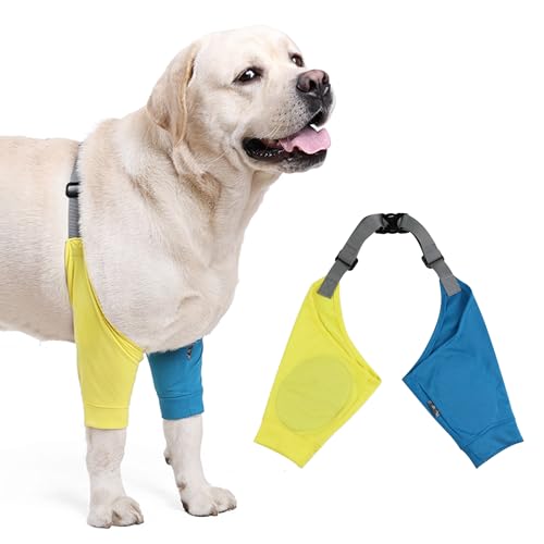 Hund Ellenbogenschutz für Schwielen, Hunde Erholungsärmel für Vorderbeine, Hund Bein Gelenkmanschette Schützende Ellenbogenschützer mit Gummiband, Hundehose gegen Lecken von Wunden (Blau & Gelb, von QUEBRAN