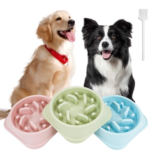 QUMENEY 3 Stück Slow Feeder Hundenapf rutschfest Interaktiver Anti-Schluck-Hundefutternapf Gesundes langsames Fressen Hundenapf für kleine mittelgroße Hunde und Katzen (Blau、Pink 、Grün) von QUMENEY