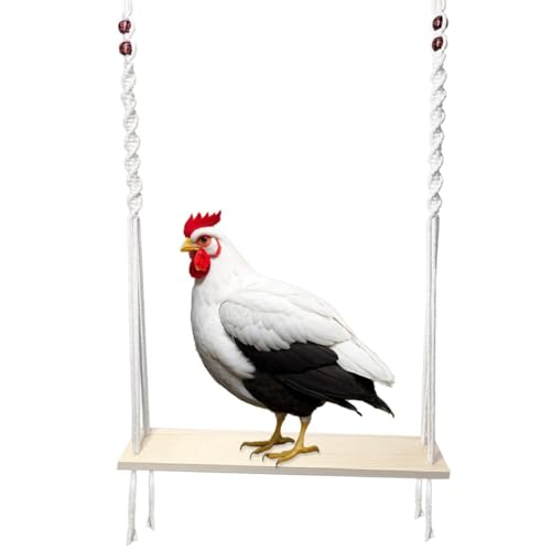 QUR Hühnerschaukel-Spielzeug für Großen Hühnerstall, Hühner-Anreicherungsspielzeug für Hühner und Hähne, Hühnerstall-Zubehör Aus von QUR