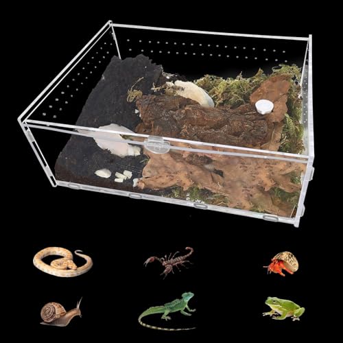 QURAS Reptilien-Terrarien Springspinnengehege, Einsiedlerkrebskäfig, Eidechsenbehälter, Acryl-Tarantelgehege für Gecko, Frosch, Betermantis, Käfer, Insekten, verdickende Fütterungsbox von QURAS