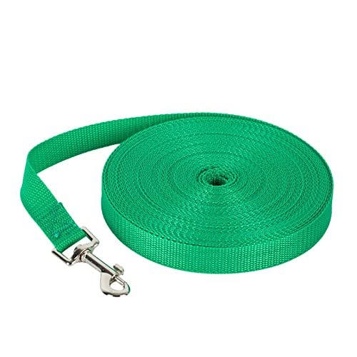 AISHANBAIHUODIAN 1,2 m-10 m Längere Haustier Leinen Seil Outdoor Training Laufen Hund Leine Gürtel PP Hunde Blei Fit for Chihuahua Kleine und Große Hund Produkt (Color : Green, Size : S 1.5M) von QWERTYUI