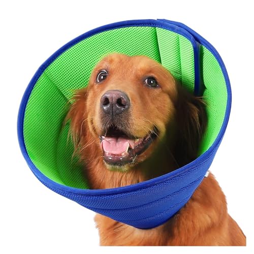 AISHANBAIHUODIAN Das elisabethanische Genesungshalsband for Hunde verhindert das Lecken des verletzten Bereichs und schützt Ihr Haustier vor Verletzungen. SCIE999 (Color : Blue Green, Size : L Code von QWERTYUI