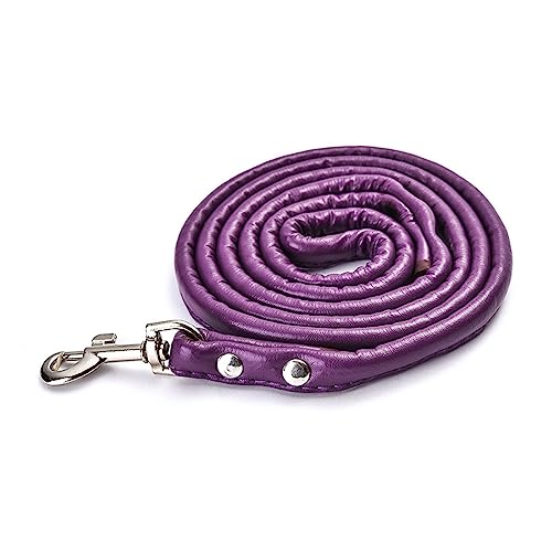 AISHANBAIHUODIAN Haustierbedarf Hundeleine Mode Mehrfarbiges PU-Rundseil Kleine und mittlere Hundeleine Haustier-Hundeleine Hund passend for Zubehör Hundekette (Color : Purple) von QWERTYUI