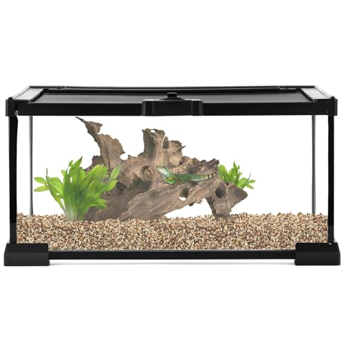 QWORK® Reptil Fütterungsbox, Feeding Box, 30 x 20 x 15 cm für eine Vielzahl an Reptilien und Insekten von QWORK