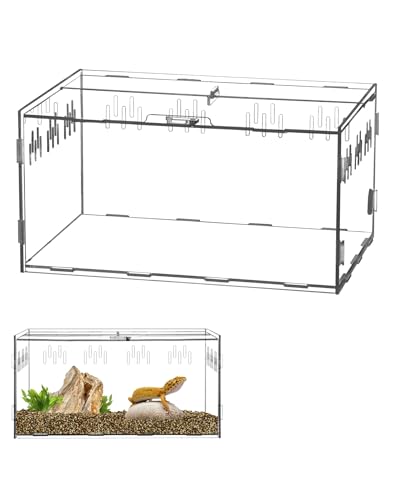 QWORK® Reptil Fütterungsbox aus Acryl, Feeding Box, 30x20x15cm für Gottesanbeterin, Spinnen, Eidechsen, Schnecken von QWORK