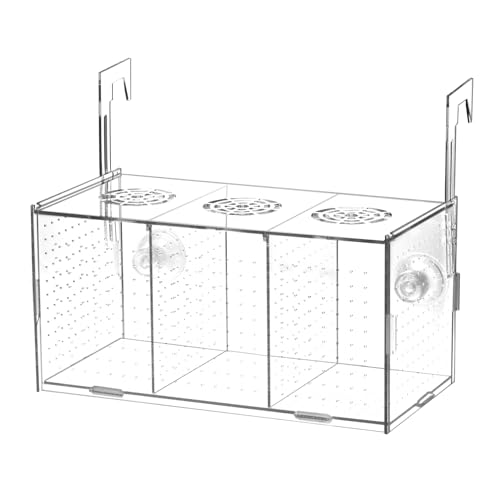 QWORK Acryl-Fischzuchtbox – transparenter Aquarium-Brutkasten mit dreifachen Isolationsräumen, inklusive Saugnapf und Aufhängehaken, 29,2 x 15,2 x 15,2 cm von QWORK