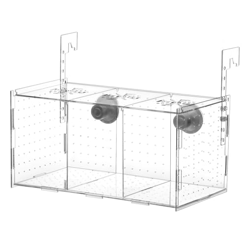 QWORK Fischzuchtbox Acryl Aquarium Isolation Box, 29,2 x 15,2 x 15,2 cm, Brutkasten mit Saugnäpfen für Babyfische, Garnelen, Guppy, aggressive Fischpflege und Schutz von QWORK