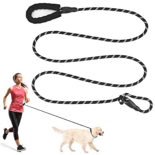 QWORK Freihändige Hundeleine, 3 m, verstellbare Nylon-Trainingsleine, reflektierende Nähte und doppelte Hunde-Funktionalität von QWORK