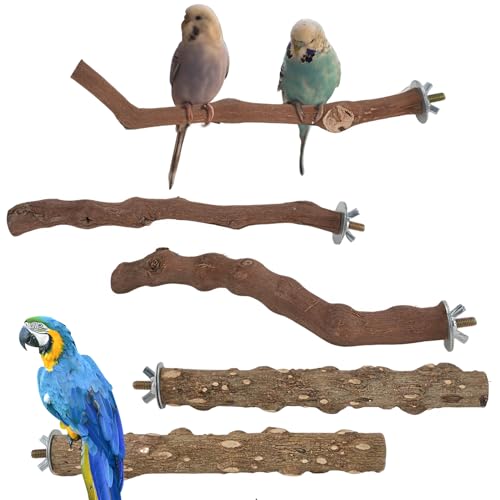 5PCS Papagei Sitzstangen Vogel Stand, Natur Holz Papagei Plattform, Kleine Vögel Futterstange Wellensittich Spielzeug, Kauen Stick Vogelkäfig Zubehör für Wellensittich Nymphensittich Kanarienvogel von QZDAFFIC