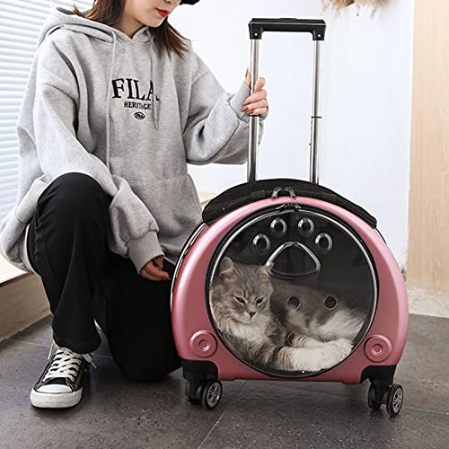 QZSM Katzenrucksack, Katzenrucksack Mit Fenster Transporttasche mit Rollen für Hunde und Katzen 1 Matten, Freely Breathe Travel Dog Carrier, Airline Approved Outdoor Cat Crate von QZSM