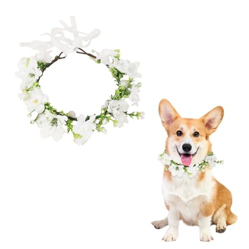 Hunde Hochzeits Blumenhalsband,Hunde Hochzeitshalsband Hund Hochzeit Outfit Haustier Blumenring Blumen Künstliche Blumenhalsband für Hunde Katze Hochzeit Geburtstag Foto Requisiten von Qaziuy