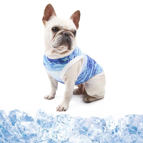 Kühlweste Hund, Atmungsaktiv Kühlweste für Hunde, Hunde Ärmellose Kühlweste Hunde Kühljacke Hundeshirt Sommer Haustier Kühlweste für Aktivitäten draußen(Blau, M) von Qaziuy
