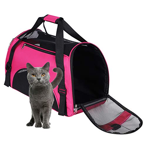 Tragetasche Transporttaschemit Schultergurt Hundetragetasche Katzentragetasche Mit Atmungsaktiv Mesh Reisetasche Hundebox Faltbare Kleintiertasche Transportbox Tragbar (Rosenrot, S) von Qchomee