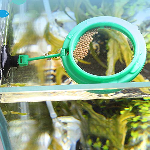 Aquarium-Futterring, Langlebiger, Schwimmender Futterspender für Flockenfutter und Schwimmendes Futter, Grün, 7,5 cm Durchmesser, mit Saugnapf für Einfache Installation und von Qcwwy