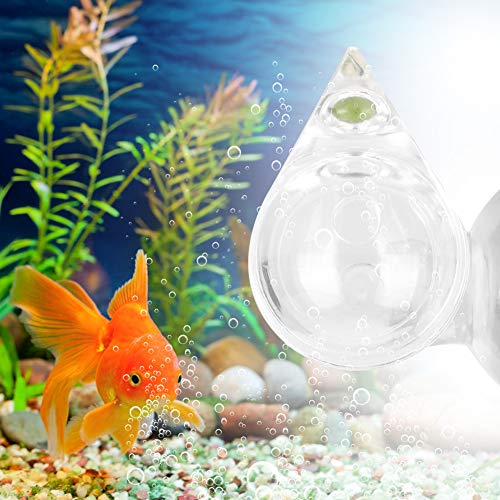 Aquarium-Glas-CO2-Monitor-Tester, Präzise Flüssigkeitskonzentration für Aquarien Aller Größen von Qcwwy