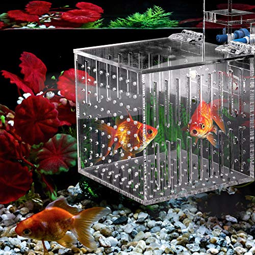 Aquariumzubehör, Durchsichtige Isolationsbox aus Acryl für die Anpassung Neuer Aquarienfische von Qcwwy