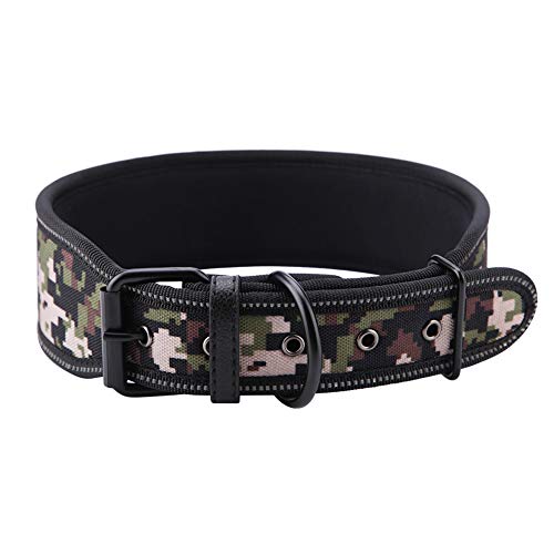 Haustier-Halskette, Reflektierendes Hundehalsband mit Schnalle, Nylon-Haustier, Verstellbares Halsband, Einfaches Tragen mit Weichem Polster, Multifunktionale (S) von Qcwwy