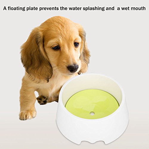 Haustier-Trinknapf, Mehrzweck-Futternapf für Kleine Hunde und Katzen, Haustier-Wassernapf, kein Spritzwasserschutz für Kleine Hunde und Katzen Haustier-Trinknapf, Mehrzweck-Futternapf für Kleine Hunde und Katzen, Haustier-Wassernapf, kein Spritzwasserschutz für Kleine Hunde und Katzen von Qcwwy
