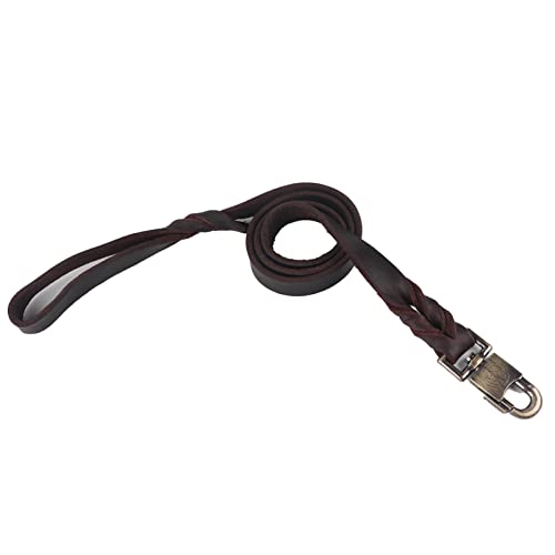 Hundehalsband und Leine aus Weichem Leder mit Robustem Clip für Mittelgroße Hunde, Umweltfreundliches Material, 120 cm Länge (2,5 * 120 cm) von Qcwwy