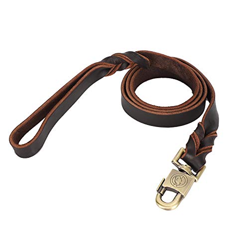 Hundehalsband und Leine aus Weichem Leder mit Robustem Clip für Mittelgroße Hunde, Umweltfreundliches Material, 120 cm Länge (2,5 * 150 cm) von Qcwwy