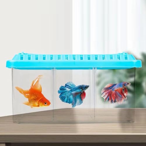 Kleines Betta-Aquarium, Acryl-Aquarium, Abnehmbar, 3 Bereiche, Mini-Aquarium, Rechteckiges Transparentes Tank-Set, Fischschale, Kleines Aquarium, Desktop-Zieraquarium von Qcwwy