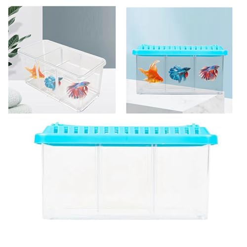 Kleines Betta-Aquarium, Kleines Aquarium, Dekoratives, Transparentes Desktop-Aquarium, Abnehmbares 3-Bereiche-Acryl-Mini-Aquarium für Betta-Nano-Goldfische, Schneckengarnelen von Qcwwy