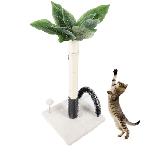 Kratzbaum für Katzen, 74,9 cm Hoch, Kratzbäume aus Sisal mit Selbstpflegendem Ball, Kratzbäume für Kätzchen, Kratzbaum für Katzen Im Innenbereich (Beige) von Qcwwy