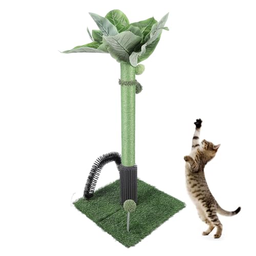 Kratzbaum für Katzen, 74,9 cm Hoch, Kratzbäume aus Sisal mit Selbstpflegendem Ball, Kratzbäume für Kätzchen, Kratzbaum für Katzen Im Innenbereich (Green) von Qcwwy