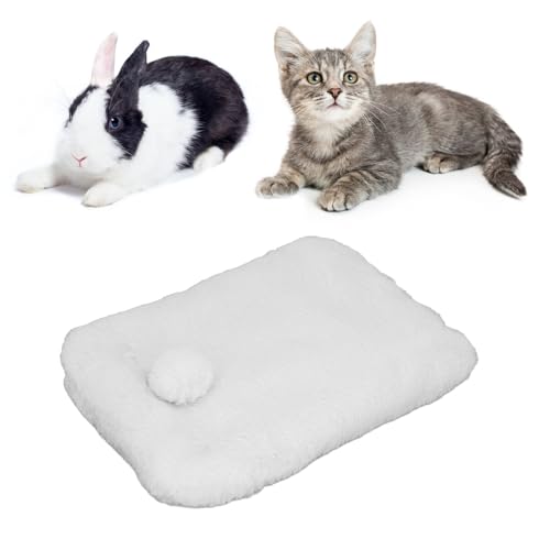 Qcwwy Großes Hundebett, Deluxe-Plüsch, rutschfest, weich, hautfreundlich, warm, große Sicherheitsmatte für Katzen, zum Schlafen, Entspannen, Spielen (L) von Qcwwy