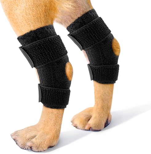 Hunde-Knieorthesen für das Hinterbein, Hunde-Hinterbein-Orthesen für Hunde mit ACL-Kniescheiben-Verrenkung, Arthritis, Hunde-Hinterbein-Orthese, Befestigungsgurt für (L) von Qcwwy