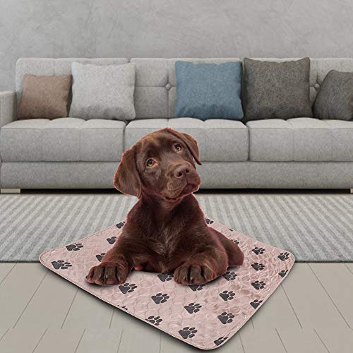 Qcwwy Hunde-PIPI-Matten, Starke Saugfähigkeit, Hunde-Trainingspads, Maschinenwaschbar, Trocknergeeignet, Niedrige Hunde-PIPI-Pads, Schönes Pfotenmuster-Design, wasserdichte (Brown) von Qcwwy