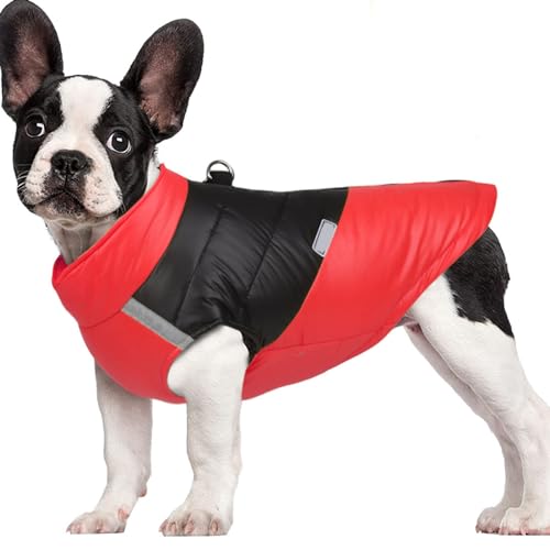 Qcwwy Hunde-Wintermantel, Reflektierende Hunde-Winterjacke, wasserdichte Hunde-Schneejacke, Gepolsterte Haustierweste, Haustier-Hundekleidung für Kaltes Wetter (Rot) von Qcwwy