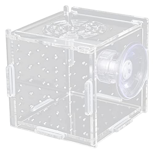 Isolation Box Breeder, Acryl Fischzuchtbox für Babyfische Garnelen(Einzelgitter Mini 8 * 8 * 8) von Qcwwy