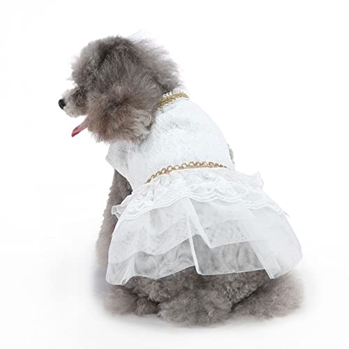 Qcwwy Kleid für Hunde, Prinzessinnenkleid aus Mesh für Kleine Hunde und Katzen, Polyestergewebe, Hundehochzeitskleid, Bequemes, Atmungsaktives Hundekleid für den Sommer (M) von Qcwwy