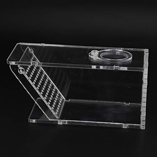 Qcwwy Krabbenfalle Catcher Box, Fischfalle Catcher Box Acryl Aquarium Fisch Süßwasser Krabbenfalle Catcher Box One Way Trap Box Fish Tasteless Safe for Fish Aqu von Qcwwy