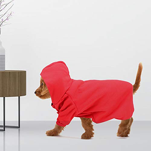 Sweatshirt für Kätzchen, für Herbst und Winter, für Hunde, Französische Bulldogge, Mops, Katze, hält warm, Pullover, Hunde-Kapuzenpullover, schlicht, einfarbig, Größe XL von Qcwwy