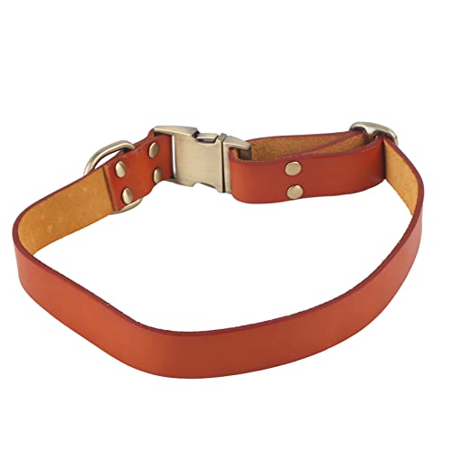 Weich gepolstertes Leder-Hundehalsband, atmungsaktiv, hochwertige Hardware, klare Wildlederfaser, gravierte Schnalle für kleine, mittelgroße und große Katzen und Hunde (Orange) von Qcwwy