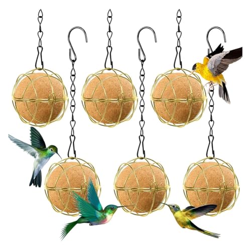 Qerwsdty 6 Stück Futterbälle für Vögel, Futterspender für Meisenknödel, Vogelfutterspender zum Aufhängen Aus Metall mit Haken, Runder Futterspender für Meisenknödel, Gold von Qerwsdty